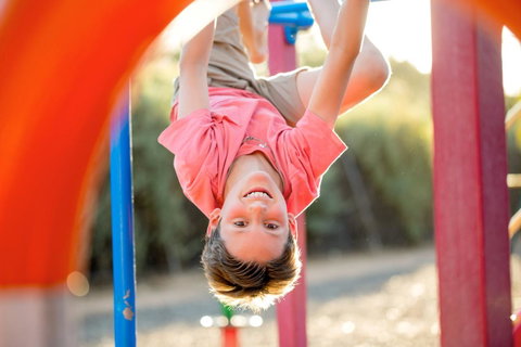 BIG4 Renmark Riverfront Holiday Park - Accommodation in Bendigo 28
