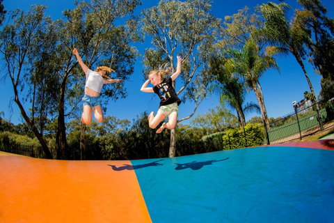BIG4 Renmark Riverfront Holiday Park - Accommodation in Bendigo 37