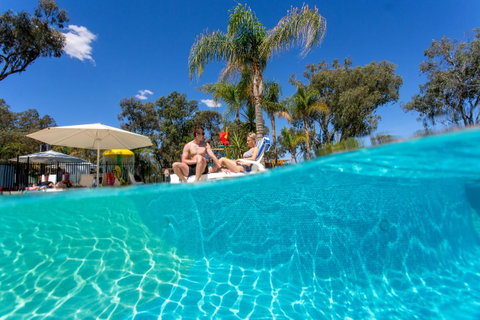 BIG4 Renmark Riverfront Holiday Park - Accommodation in Bendigo 3