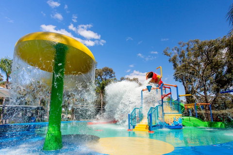 BIG4 Renmark Riverfront Holiday Park - Accommodation in Bendigo 11
