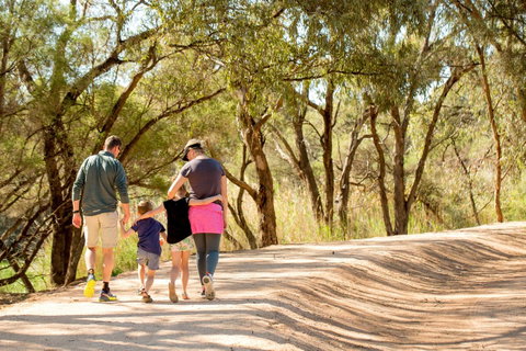 BIG4 Renmark Riverfront Holiday Park - Accommodation in Bendigo 13