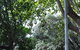 Athelney Cottage Bed And Breakfast - thumb 6