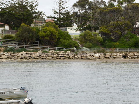 Island Motel Kingscote - Accommodation in Bendigo 4