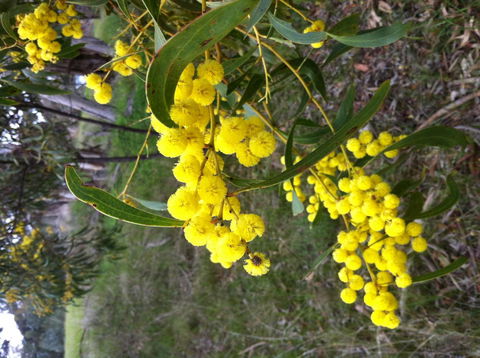 Clare Valley Cabins - Accommodation in Bendigo 31