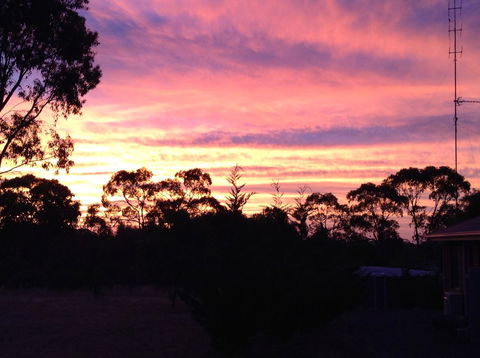 Clare Valley Cabins - Accommodation in Bendigo 8