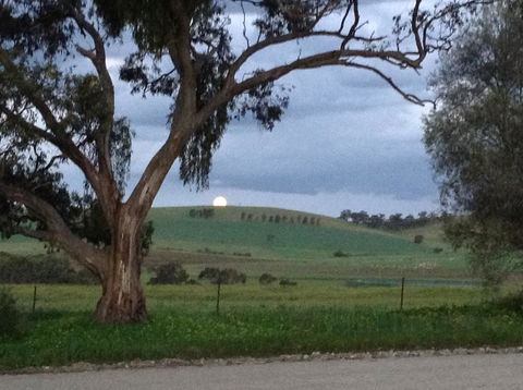 Clare Valley Cabins - Accommodation in Bendigo 10