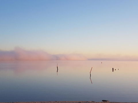 Barmera Lake Resort Motel - Accommodation in Bendigo 3