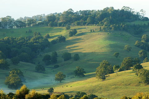 SummerHills Retreat Byron Bay - Accommodation in Bendigo 20