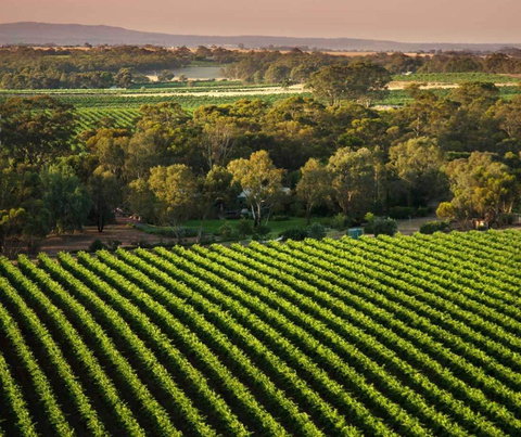 The Reserve Barossa Valley - Accommodation in Bendigo 1