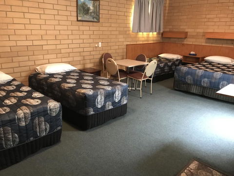 Frewville Motor Inn - Accommodation in Bendigo 12