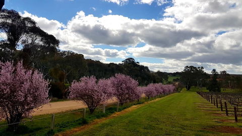 D2 At Watervale - Accommodation in Bendigo 22
