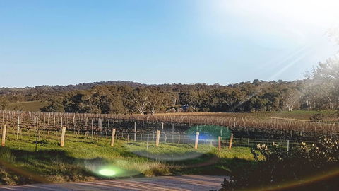 D2 At Watervale - Accommodation in Bendigo 23