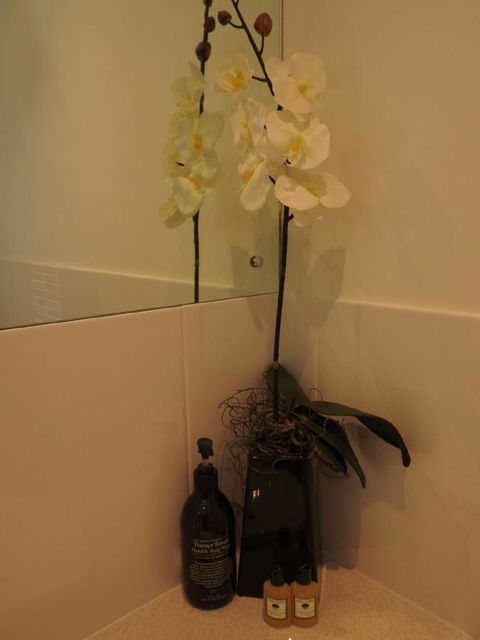 Sanctuary In The Valley - Accommodation in Bendigo 21
