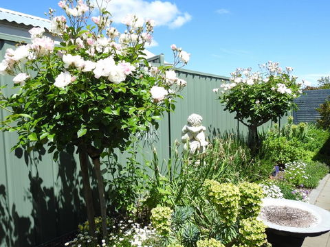 Sanctuary In The Valley - Accommodation in Bendigo 13