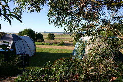 Millicent Hillview Caravan Park - Accommodation in Bendigo 43