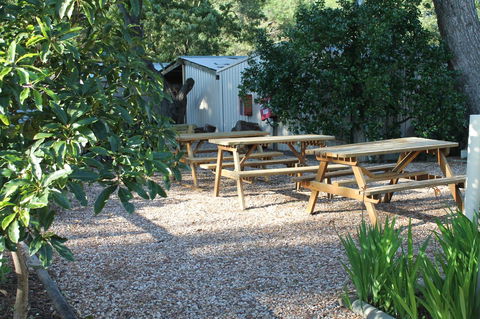 Millicent Hillview Caravan Park - Accommodation in Bendigo 9