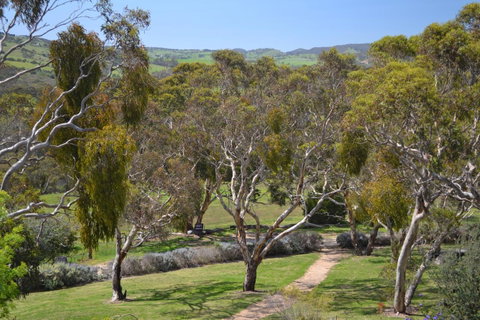 Shiraz Cottage - Accommodation in Bendigo 9