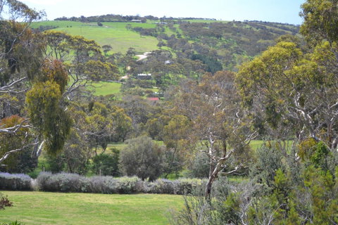 Shiraz Cottage - Accommodation in Bendigo 8