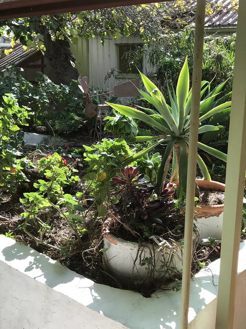 Cosy Nook - Accommodation in Bendigo 19