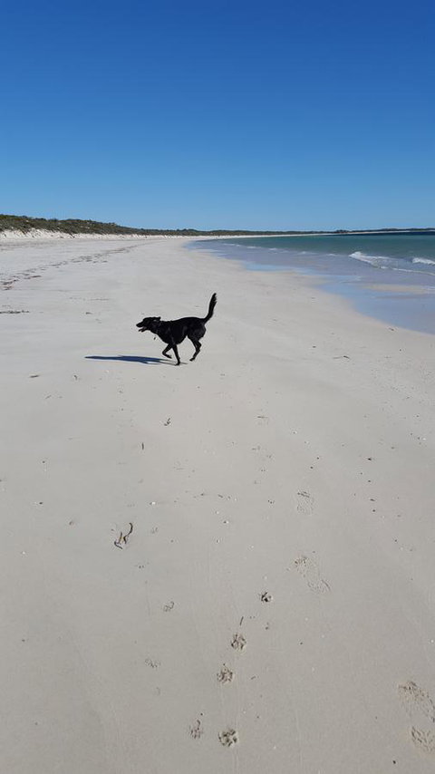 Cosy Nook - Accommodation in Bendigo 39