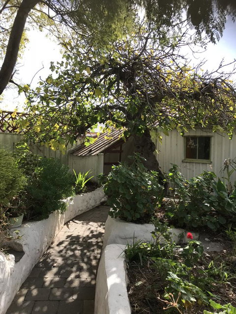 Cosy Nook - Accommodation in Bendigo 3