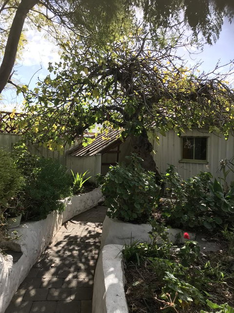 Cosy Nook - Accommodation in Bendigo 18