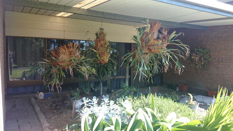 Hilltop Escape - Accommodation in Bendigo 11