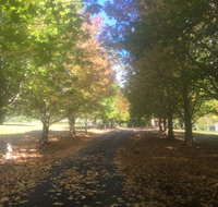A peaceful cabin in the country - Accommodation in Bendigo