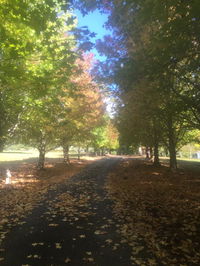 Book Bonville Accommodation Vacations Accommodation in Bendigo Accommodation in Bendigo