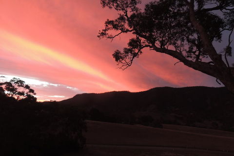 Wozza's B&B - Accommodation in Bendigo 5