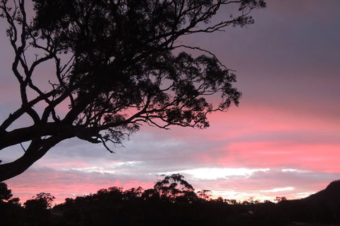 Wozza's B&B - Accommodation in Bendigo 3