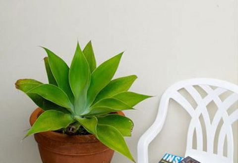 Sea & Soul Beachside Apartments - Accommodation in Bendigo 9