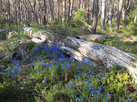Simala Retreat - Accommodation in Bendigo 1