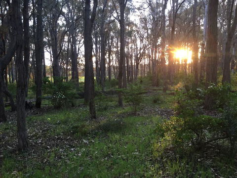 Simala Retreat - Accommodation in Bendigo 4