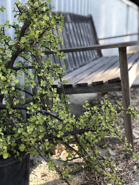 White Sands - Accommodation in Bendigo 5