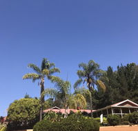 Forest Lodge Resort - Accommodation in Bendigo