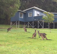 Blue House Denmark - Accommodation in Bendigo