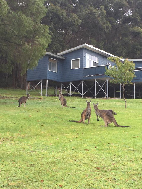 Blue House Denmark - Accommodation in Bendigo 0