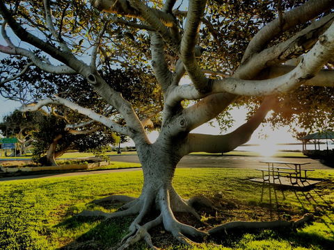 Lazy Lobster Holiday Units & Chalets - Accommodation in Bendigo 34