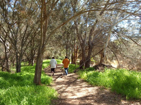 Lazy Lobster Holiday Units & Chalets - Accommodation in Bendigo 26