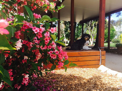 Armidale Tourist Park - Accommodation in Bendigo 34