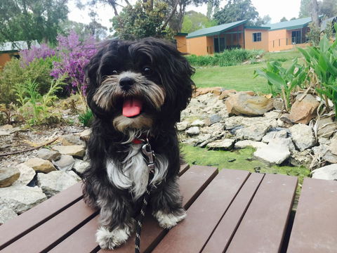 Armidale Tourist Park - Accommodation in Bendigo 32