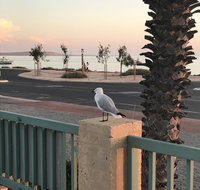 Shark Bay Seafront Apartments - Accommodation in Bendigo