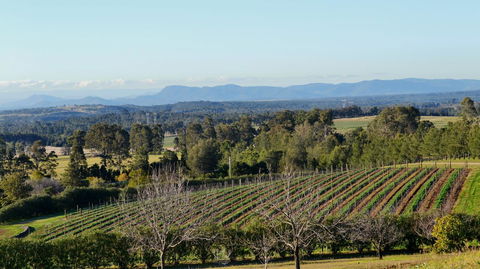Grapevines Boutique Accommodation - Accommodation in Bendigo 21