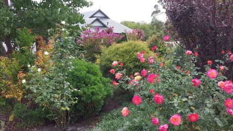 Glenelg On King Bed & Breakfast - Accommodation in Bendigo 15