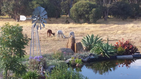Glenelg On King Bed & Breakfast - Accommodation in Bendigo 19