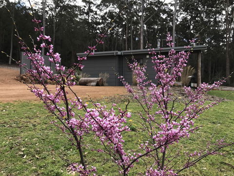 The Floating Forest - Accommodation in Bendigo 15
