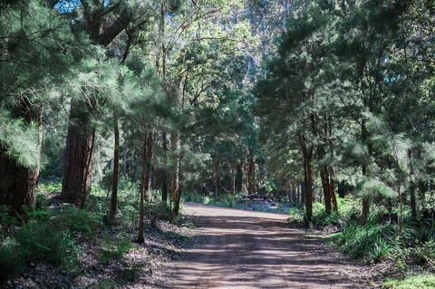 The Floating Forest - Accommodation in Bendigo 30