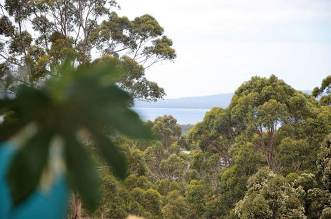 The Floating Forest - Accommodation in Bendigo 8