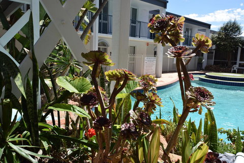 West Beach Lagoon 220 Stylish And Cozy - Accommodation in Bendigo 18